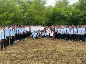 Tree Plantation (1)